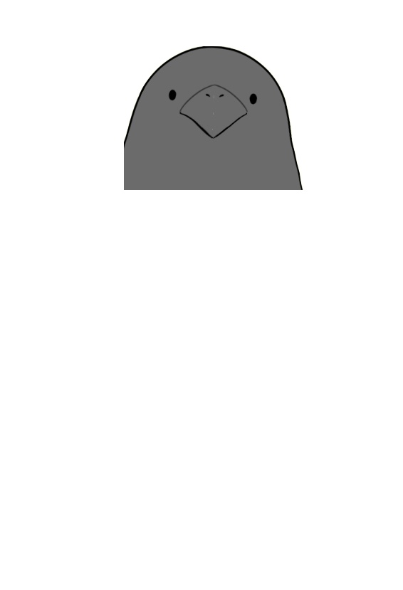 ニエお楽しみ箱