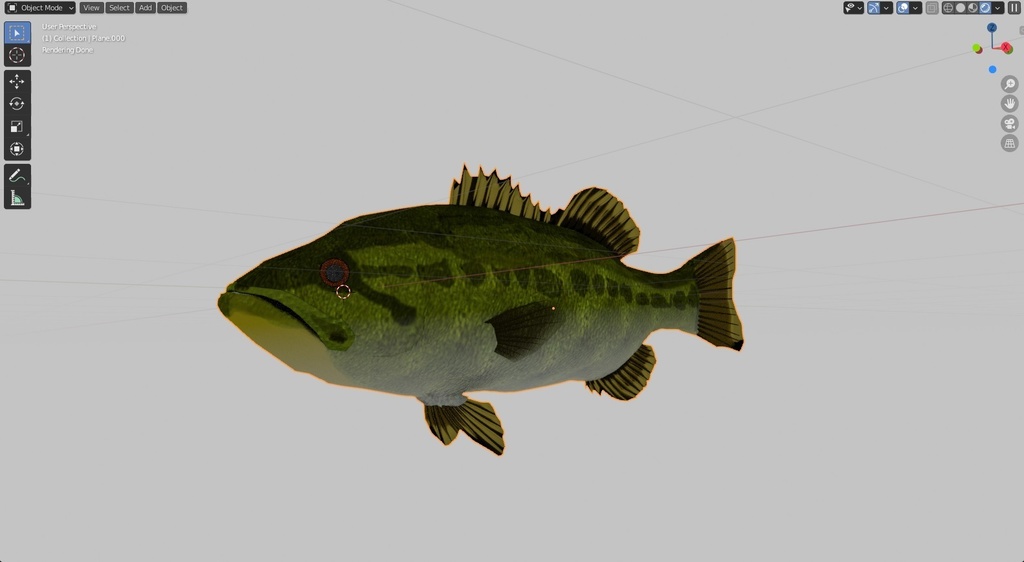 魚