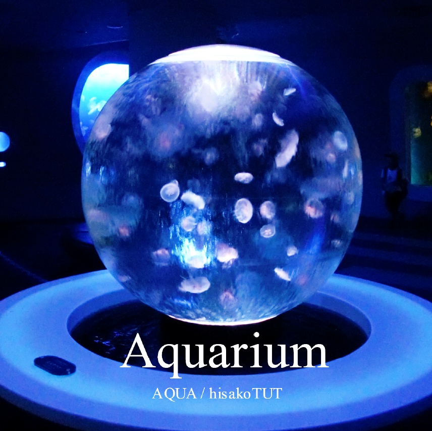 Aquarium