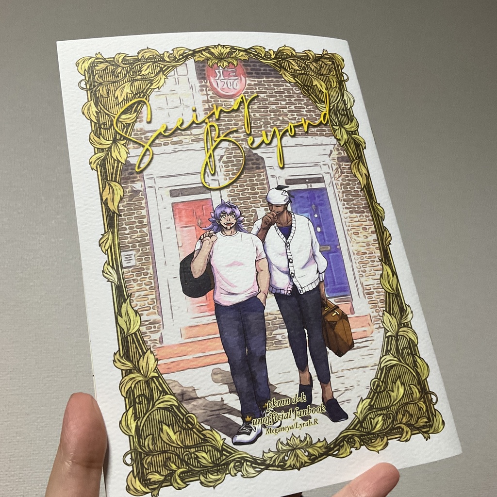 Seeing Beyond【DRfes2024新刊】