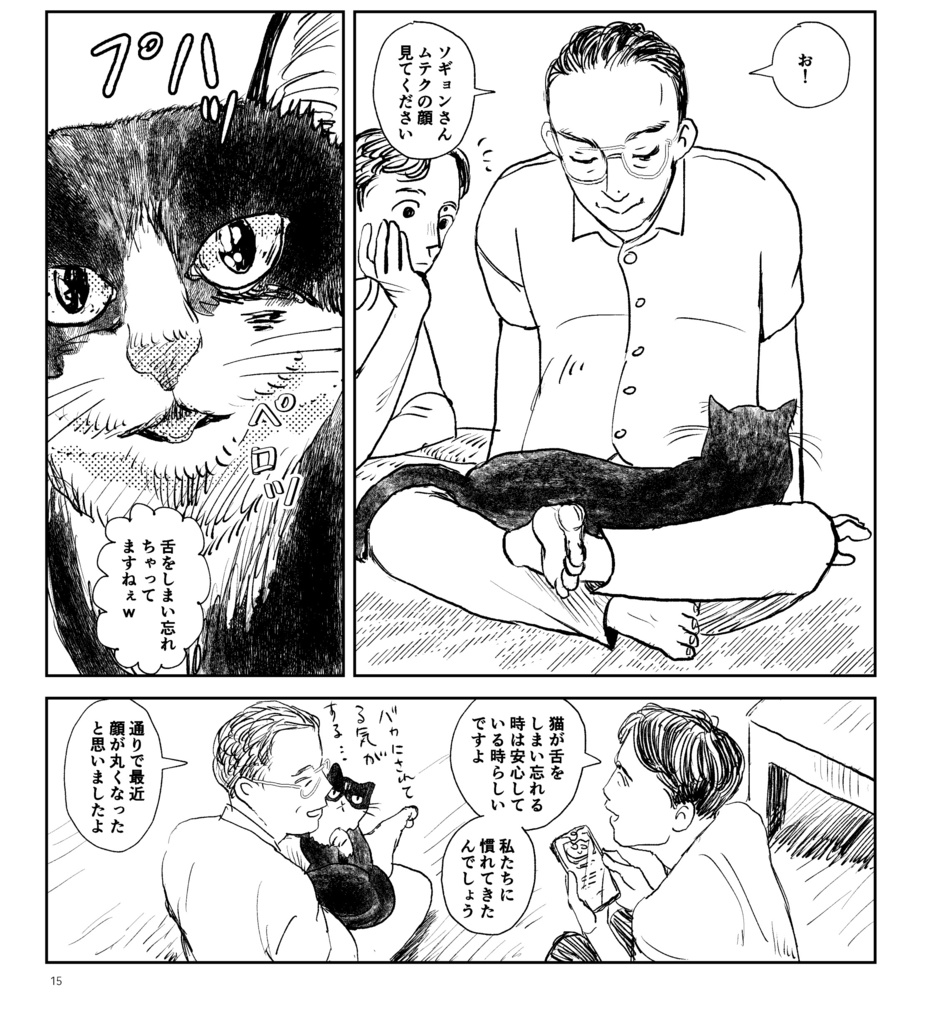 ミョンウン荘に猫が来た