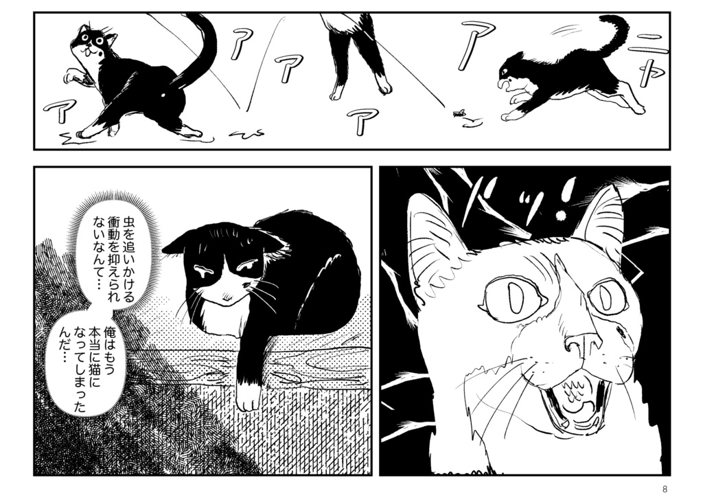 ミョンウン荘に猫が来た