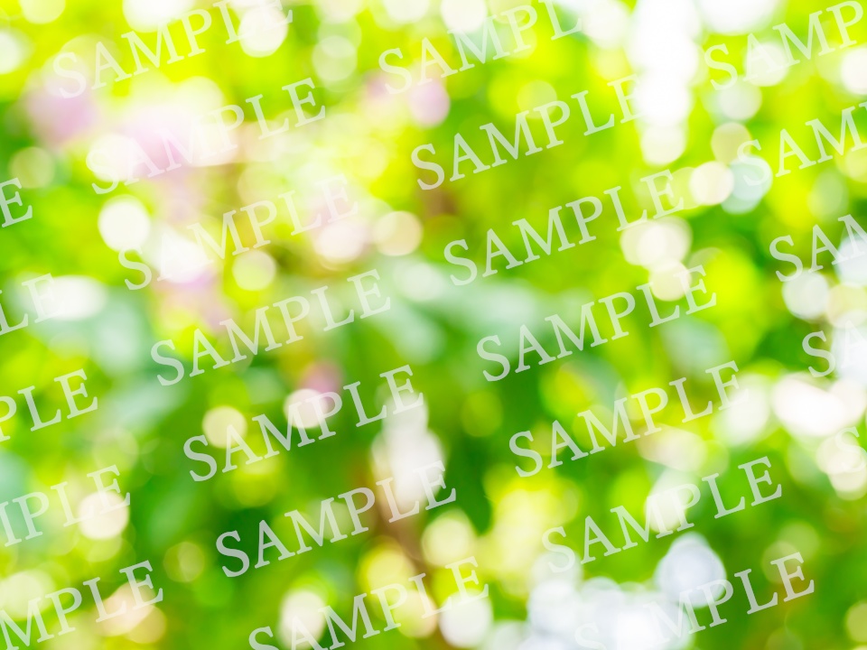 背景・オーバーレイ素材 10枚【玉ボケ②】