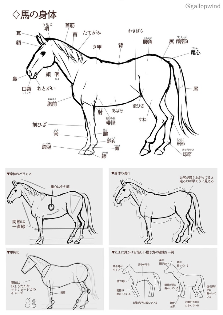 Pdf版 ゲームデザイナーが描く映える馬を描くコツ 準備号 Sosl Booth