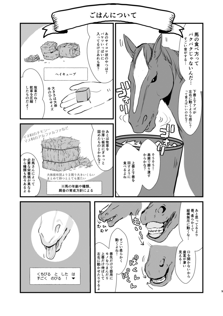 ~まんがでわかる~馬のことが分かるようになる?!本!
