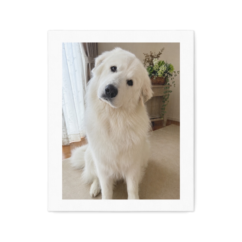 白いキャンバス わんこ