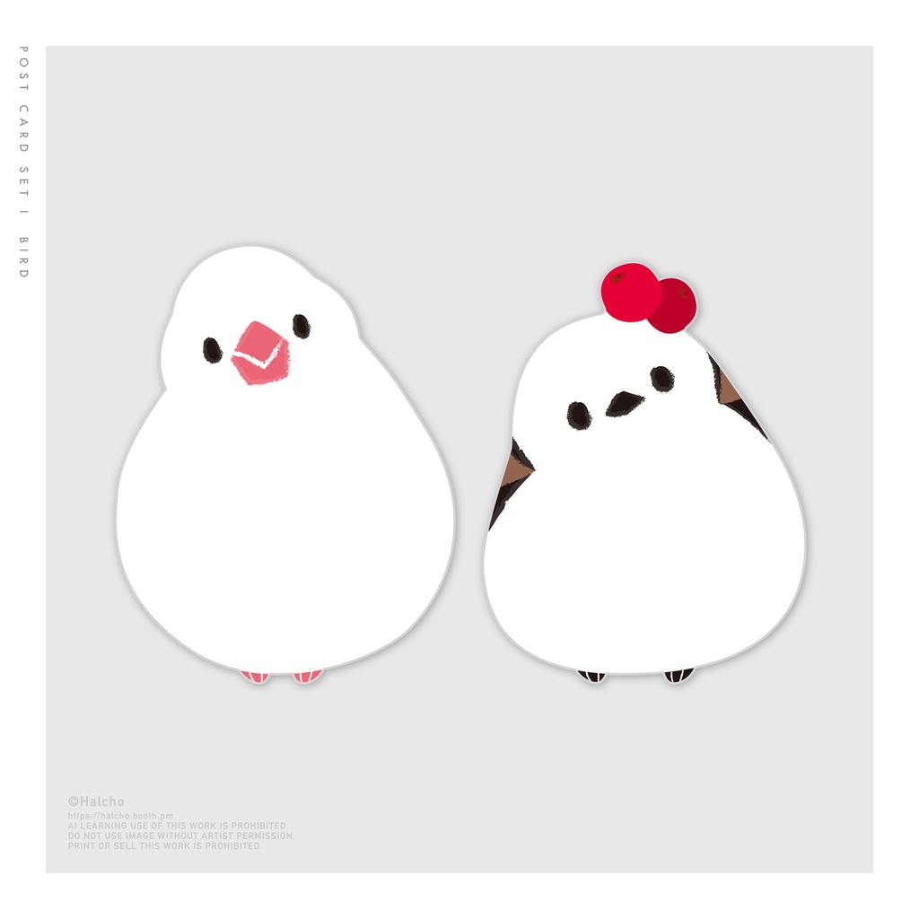 Postcard Set J - bird-