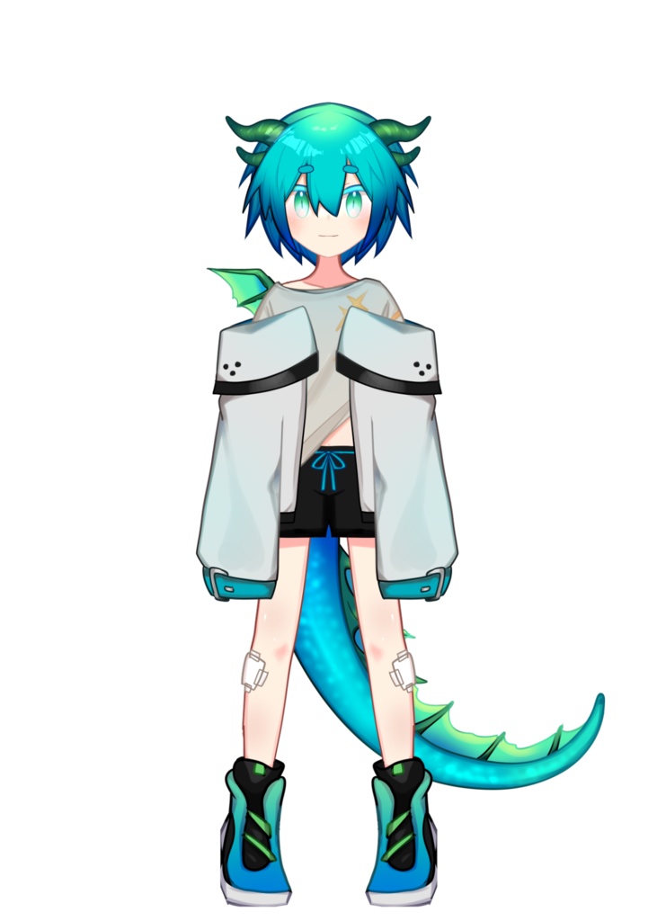 【完売】VTS設定済み男の子【限定一点】