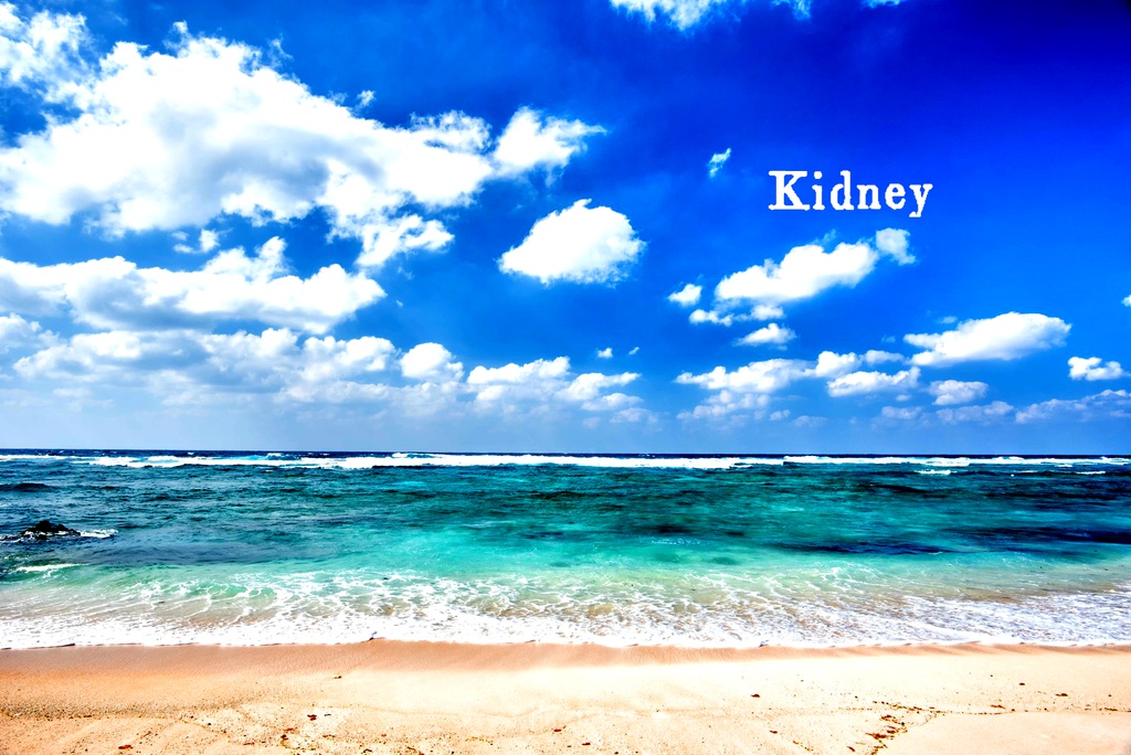 CoCシナリオ: Kidney 