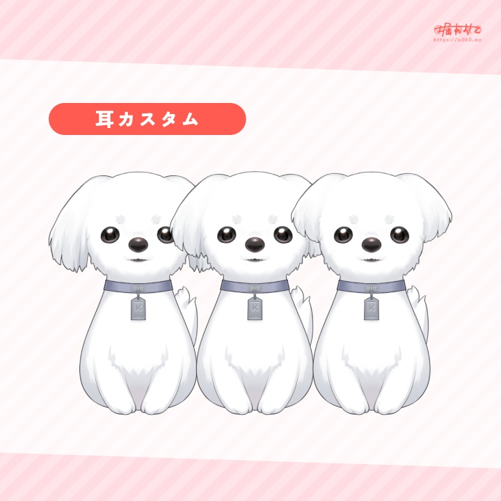 【VTS対応】Live2Dモデル マルチーズ型:きなり