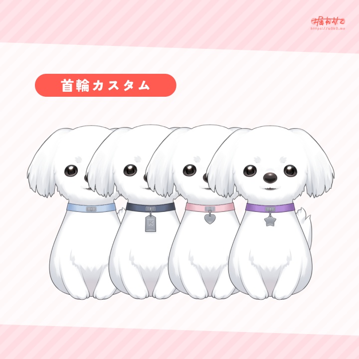 【VTS対応】Live2Dモデル マルチーズ型:きなり