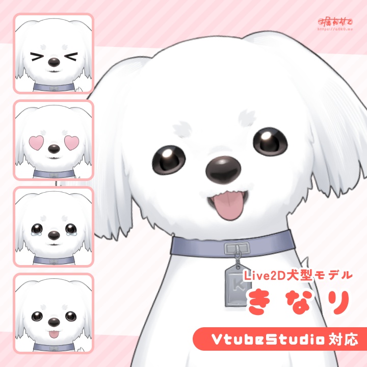 【VTS対応】Live2Dモデル マルチーズ型：きなり
