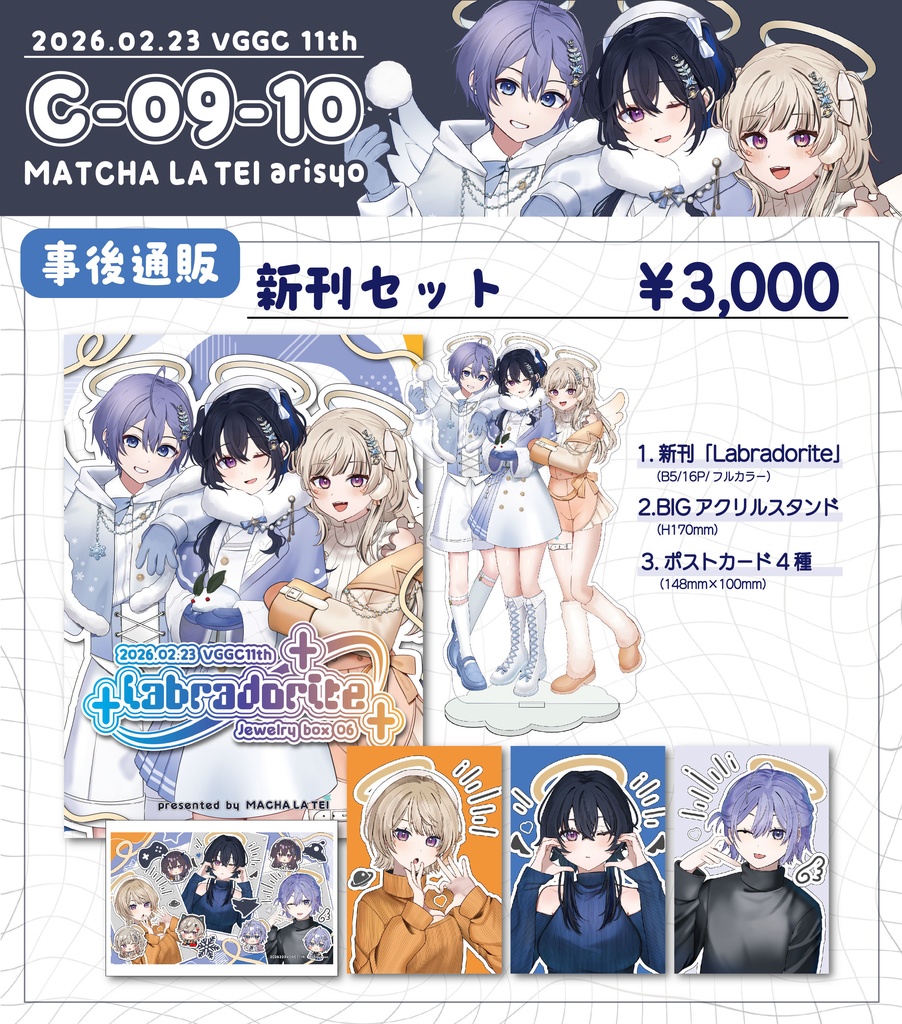 【VGGC11th】BIGグッズ！