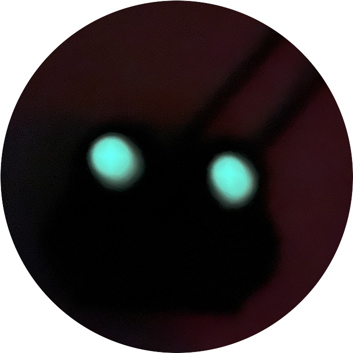 【クリックポスト配送】けろけろポシェット