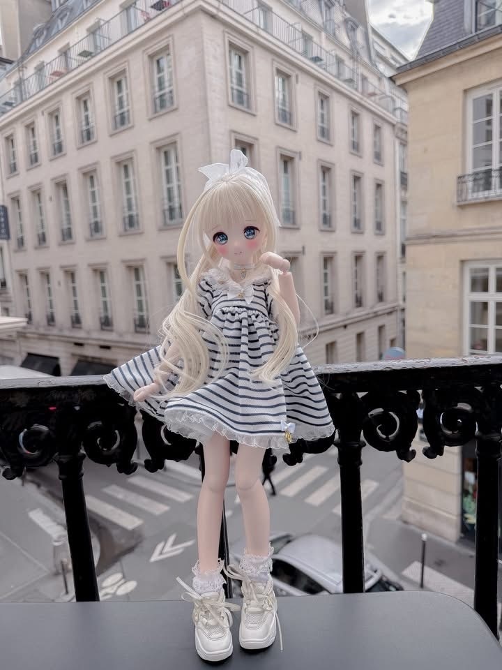 MDD「Meringue Cookies☆」2026 summer ver