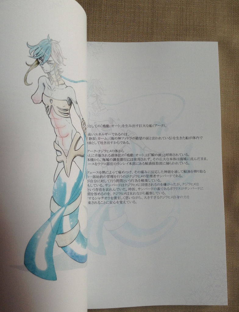 Empty Ignoramus【84P・A5フルカラー】