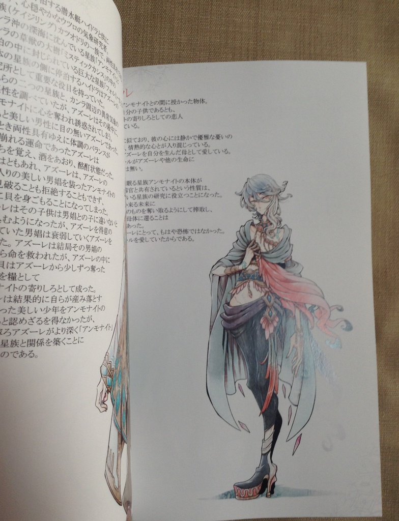 Empty Ignoramus【84P・A5フルカラー】