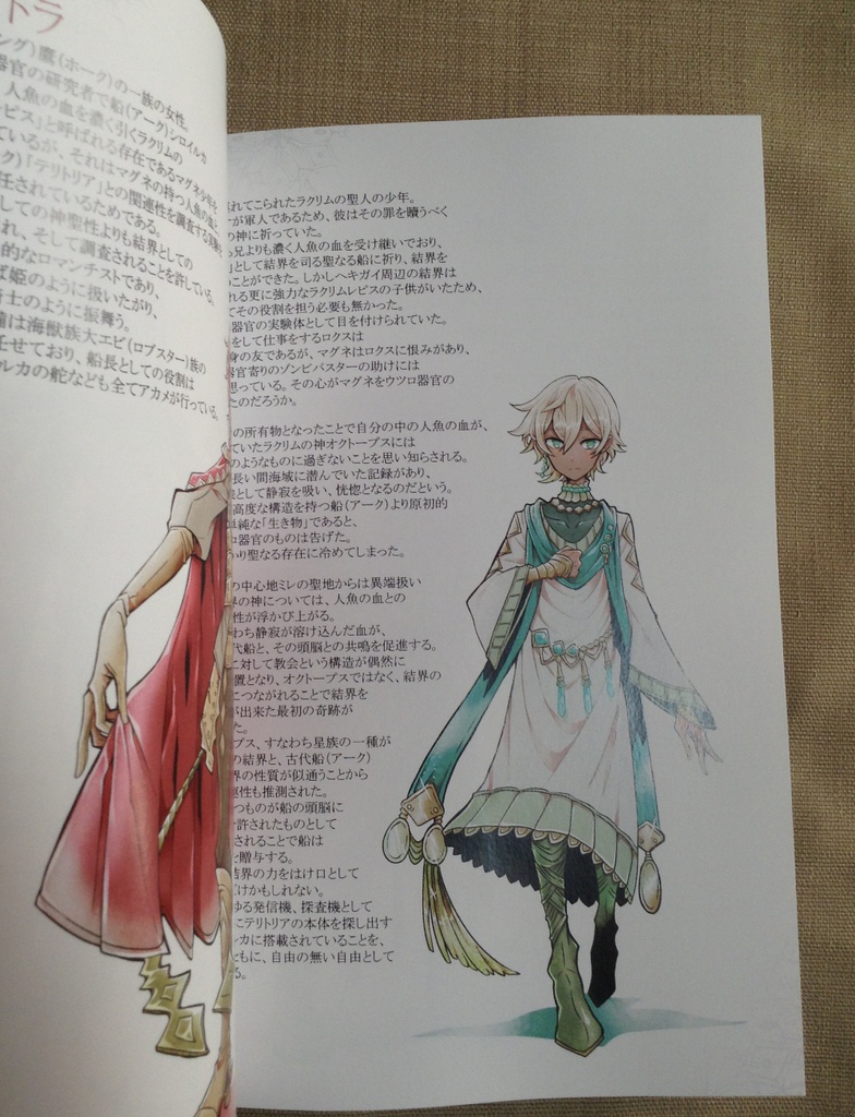 Empty Ignoramus【84P・A5フルカラー】