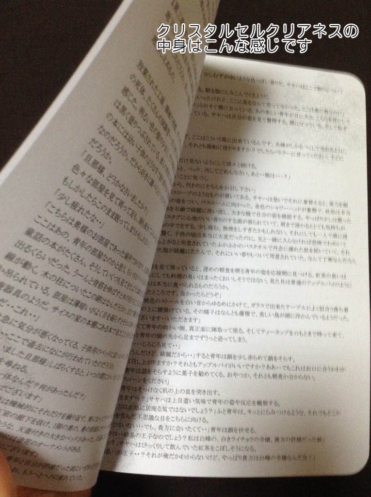【在庫なし】Crystal Cell Clearness 小説