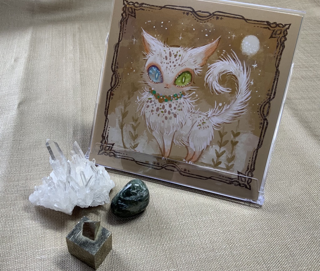 【あんしんパック】飾れる選び取りカード(12枚セット)