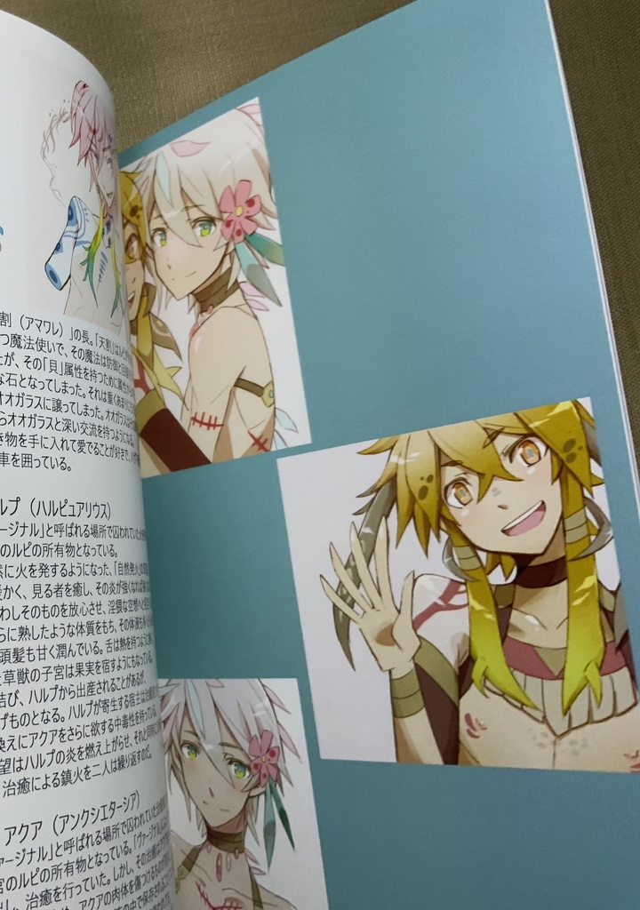 【あんしんパック】オニキスコリド ヒツギ編未収録イラスト集