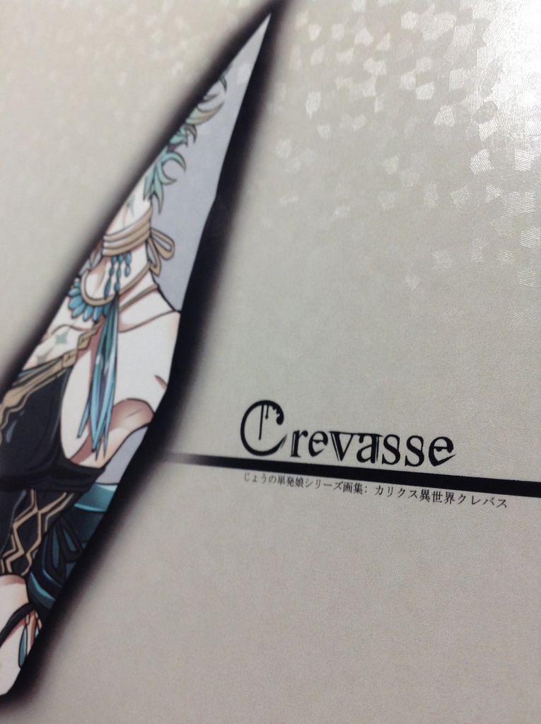 Crevasse【24P・A5フルカラー】