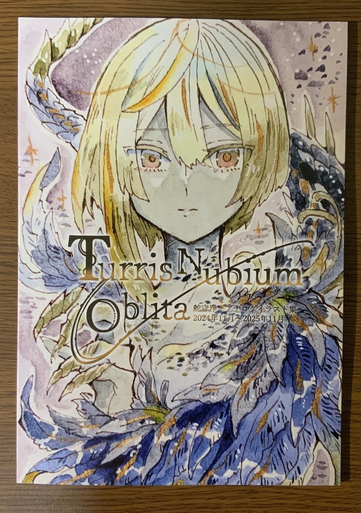 Turris Nubium Oblita　舵守浄アナログイラスト集2024年11月～2025年11月