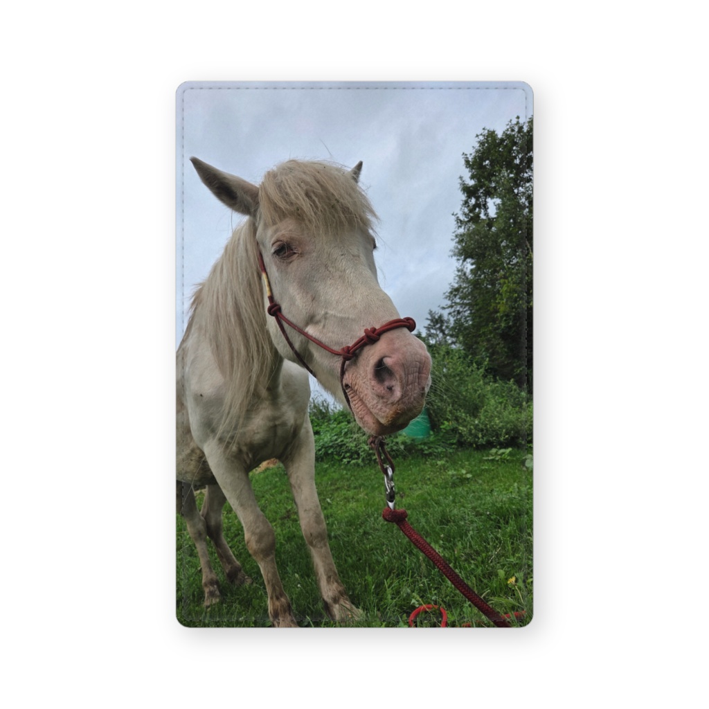 春雨会長名刺入れ