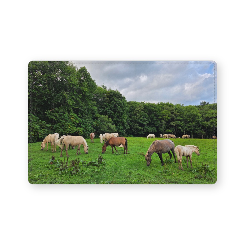 牧場の風景名刺入れ