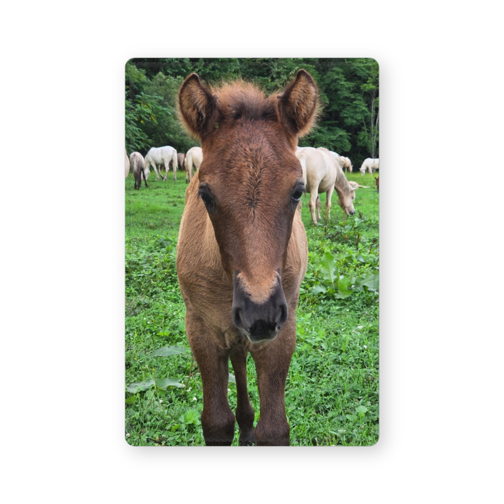 呼んだ？名刺入れ