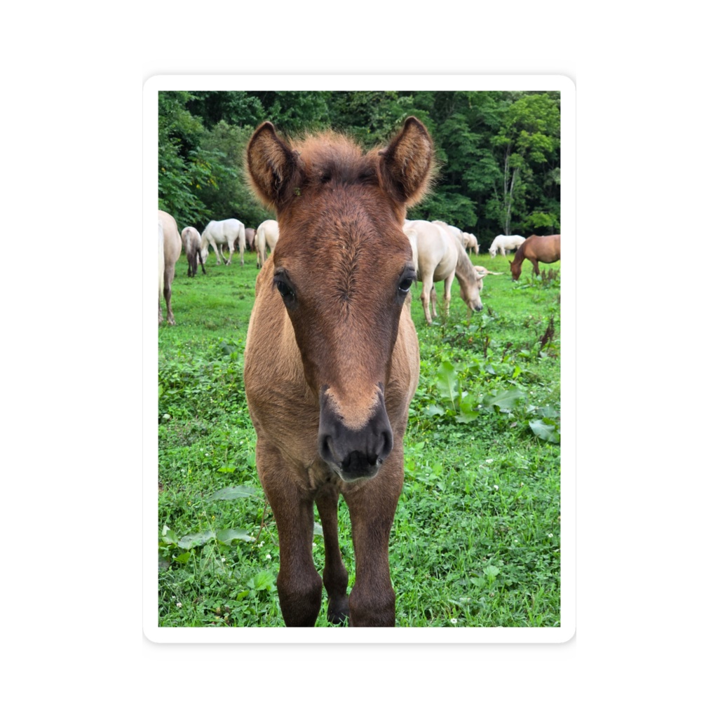 呼んだ?ステッカー