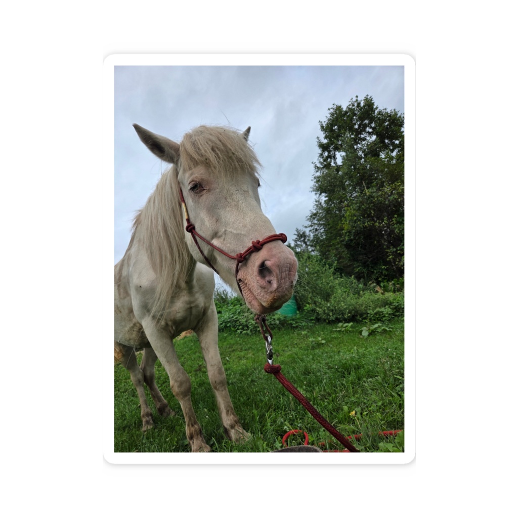 春雨会長ステッカー