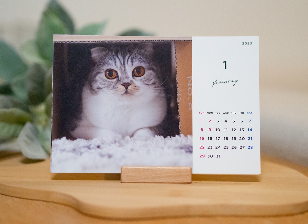 猫のぐうカレンダー2023（木製スタンド付き）