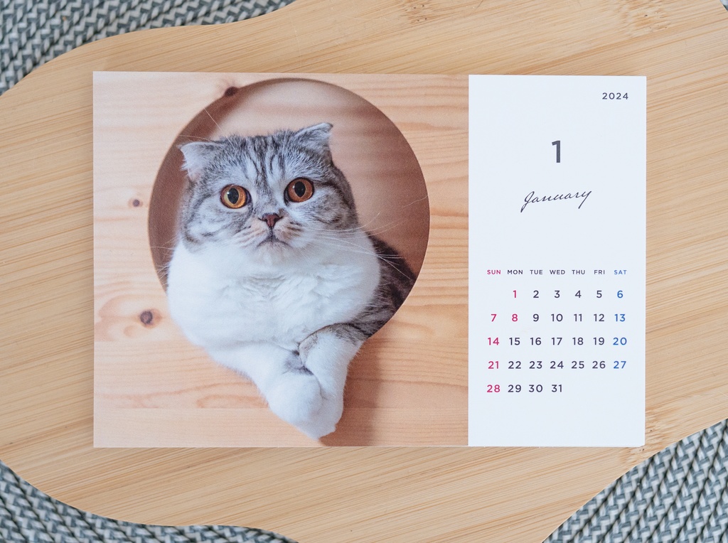 猫の卓上カレンダー 2024年(1〜12月) ねこ キャット アニマル 月間