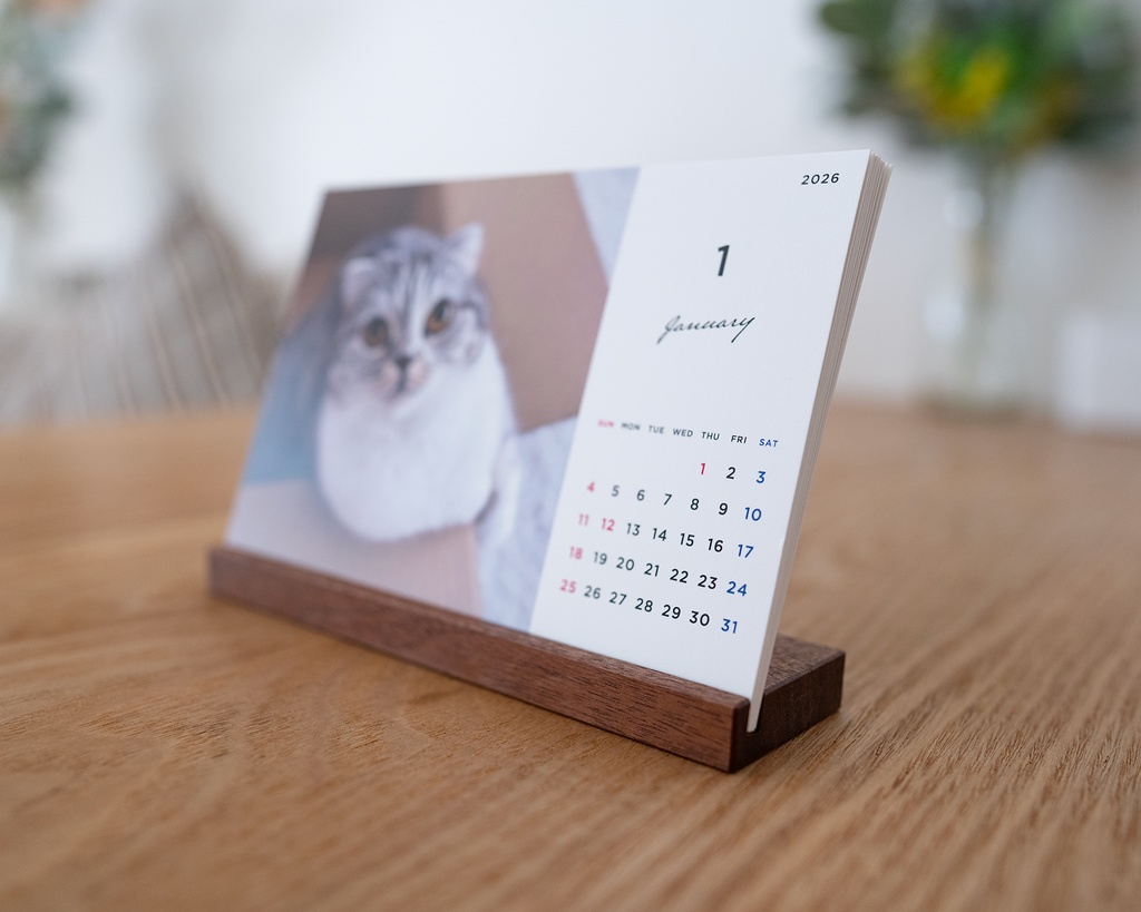 猫のぐうオリジナルカレンダー2026 (プレミアムスタンド付き)
