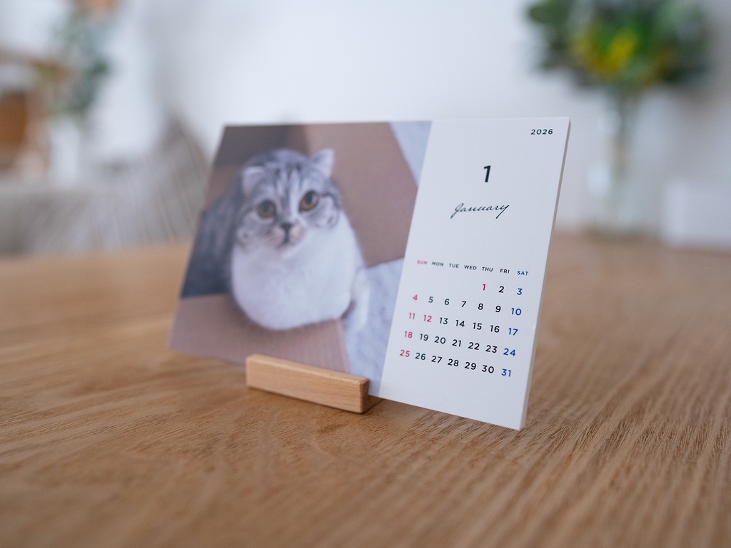 猫のぐうオリジナルカレンダー2026(木製スタンド付き)