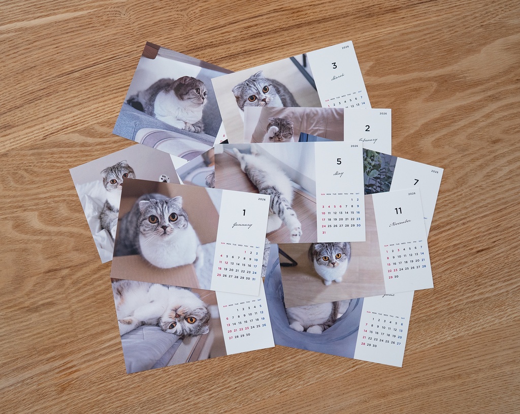 猫のぐうオリジナルカレンダー2026(木製スタンド付き)