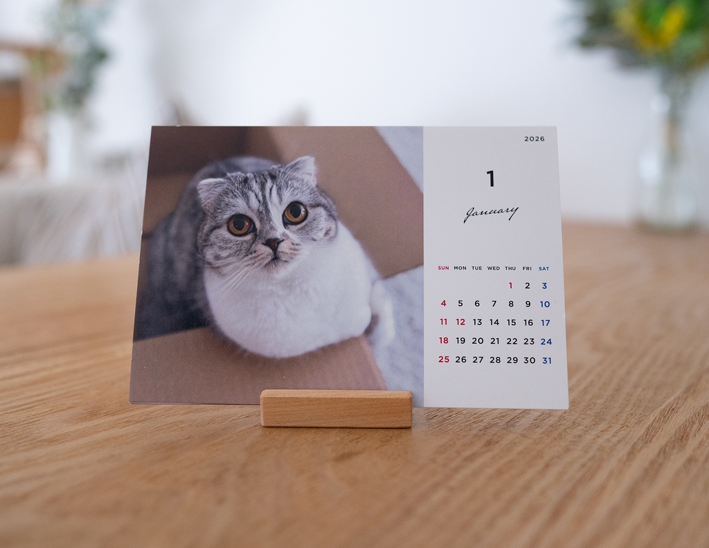 猫のぐうオリジナルカレンダー2026(木製スタンド付き)