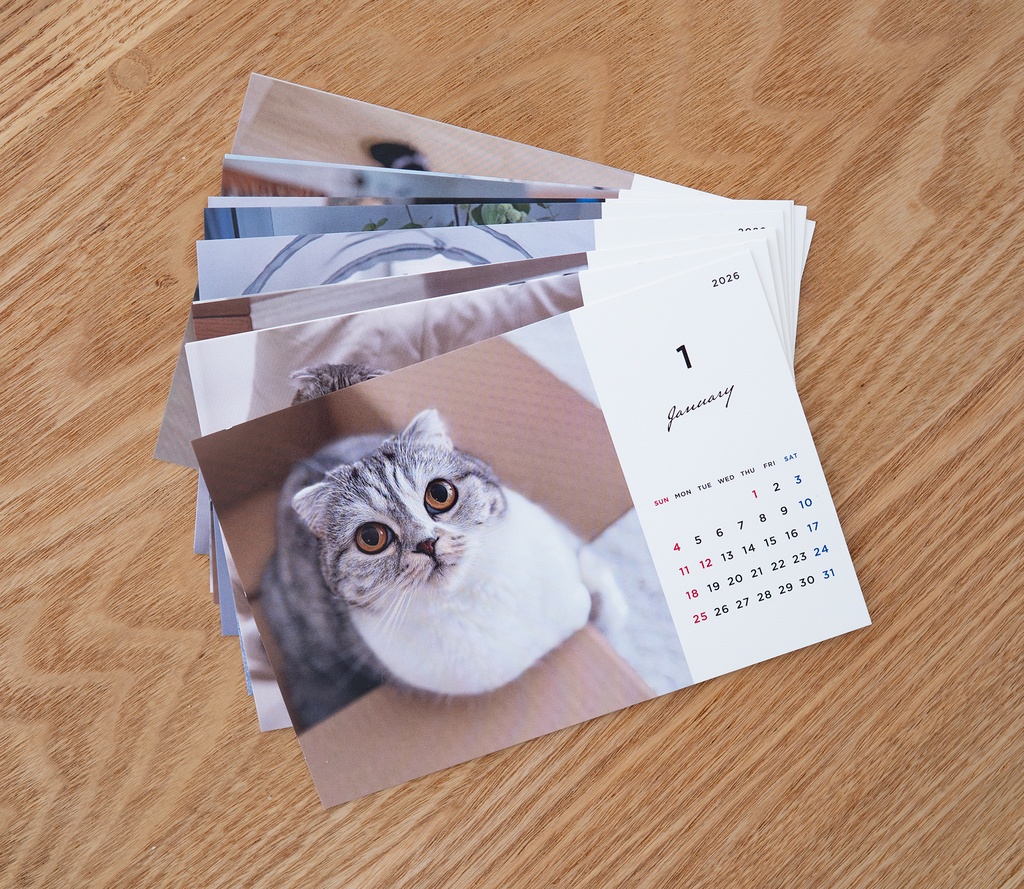 猫のぐうオリジナルカレンダー2026（スタンド無し）