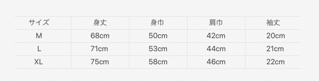 北海道Tシャツ M