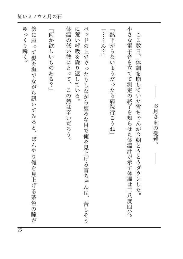 紅いメノウと月の石