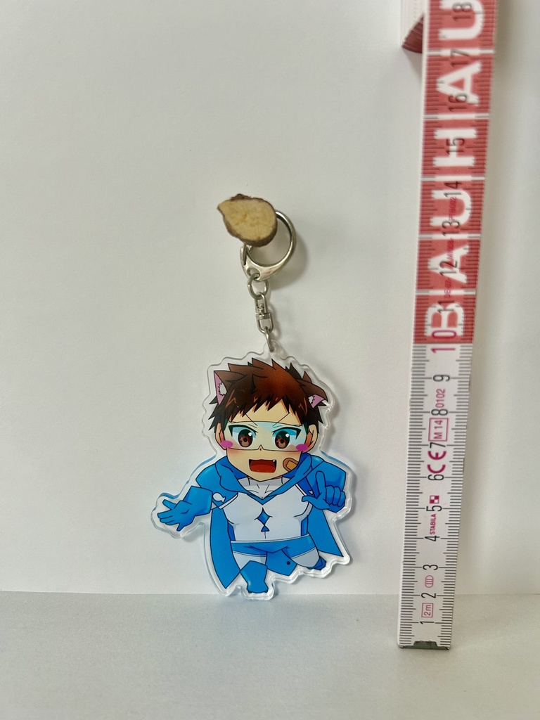 どこでも一緒!ぬこヒーロー〈アクリルキーホルダー〉