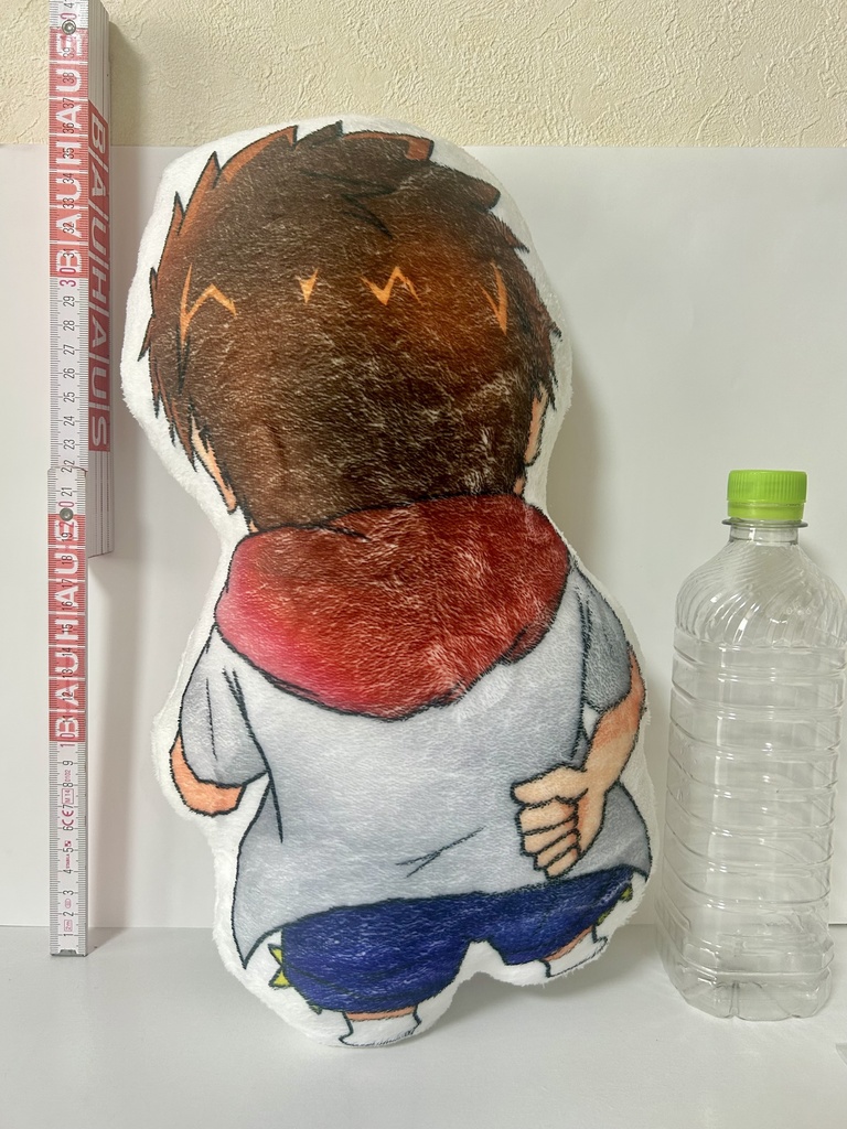 お家で一緒!ししゃも。〈クッション〉