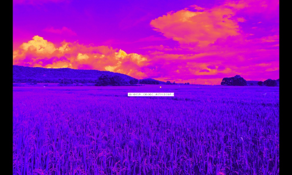 【CoCシナリオ】 浸し、浸るは、 【SPLL:E199851】