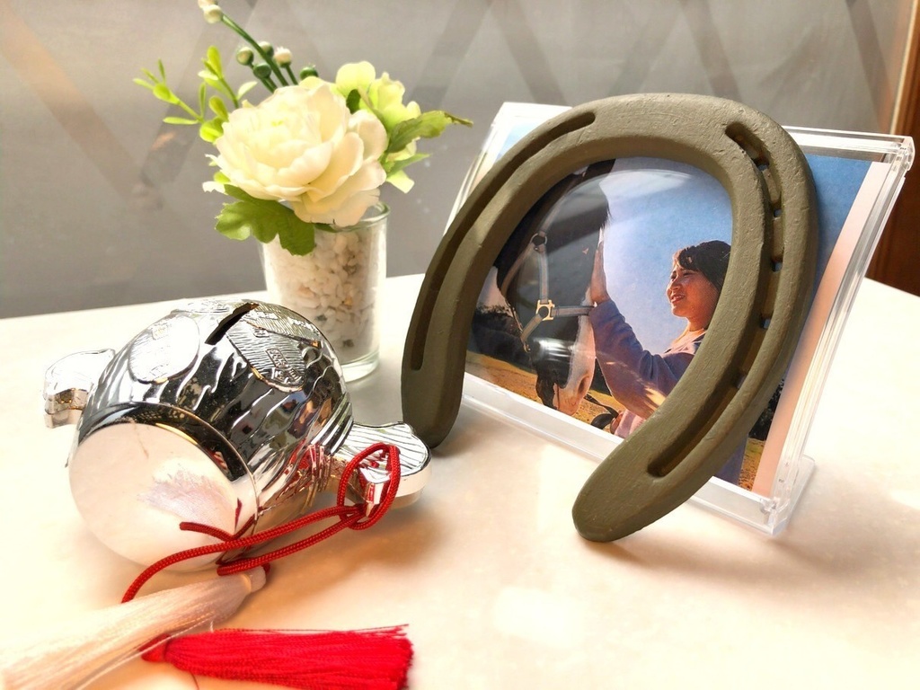 インテリア蹄鉄♪