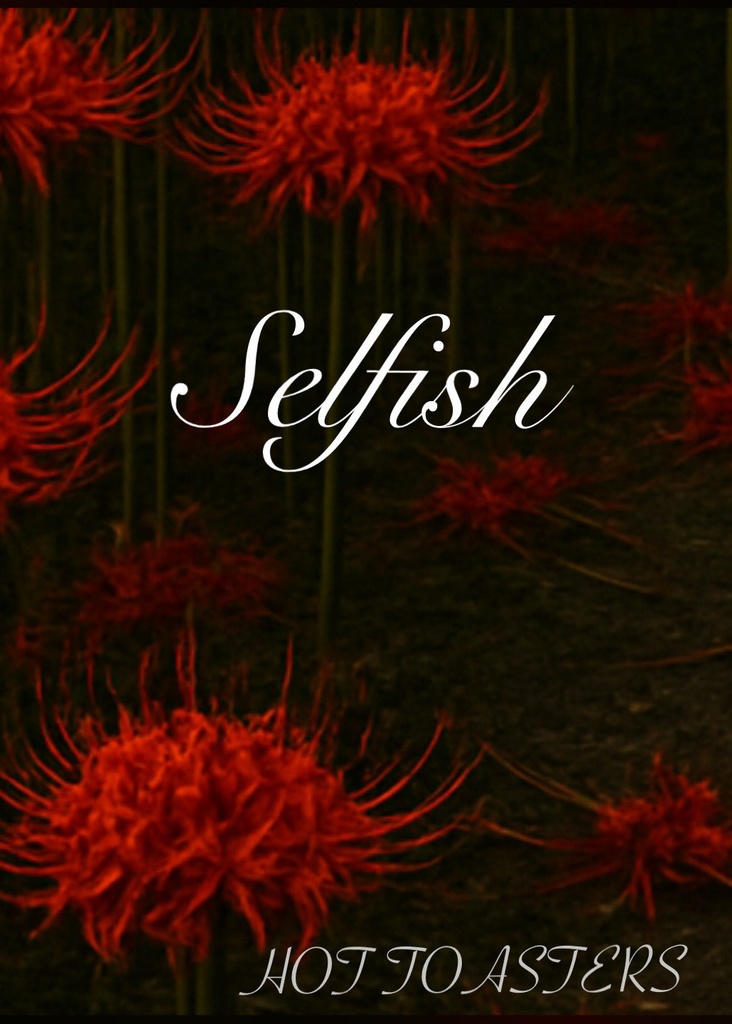 Selfish 【MP3＋WAV】/ HOT TOASTERS
