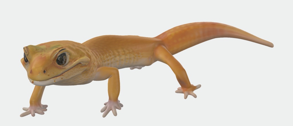 オレンジのトカゲの3Dモデル