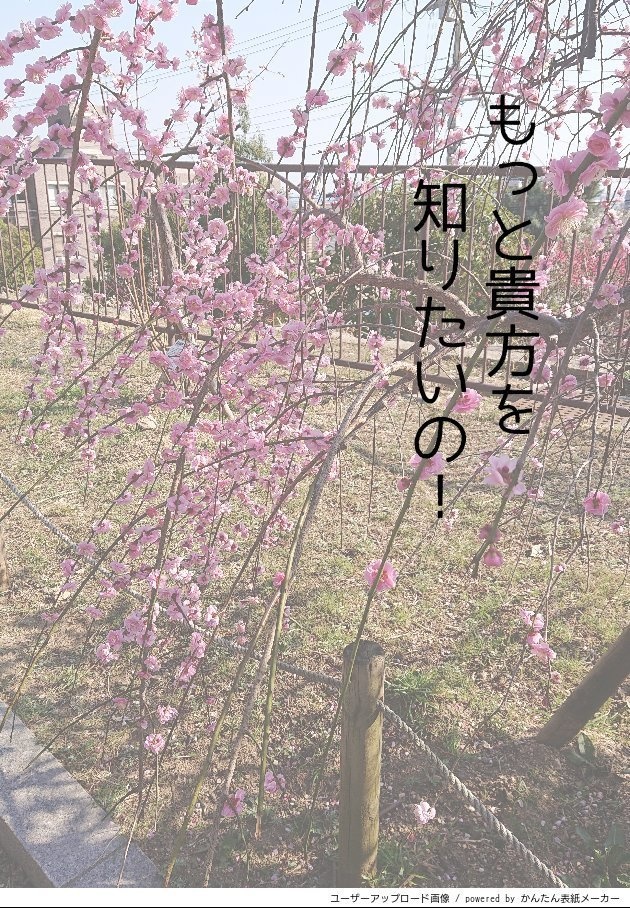 (無配)もっと貴方を知りたいの！