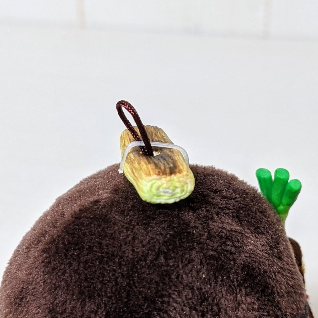 ちゅんがネギ背負ってやってきた!