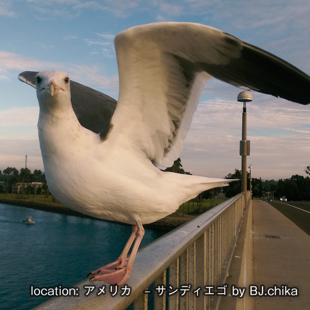 ノスタルジアを探して -2-